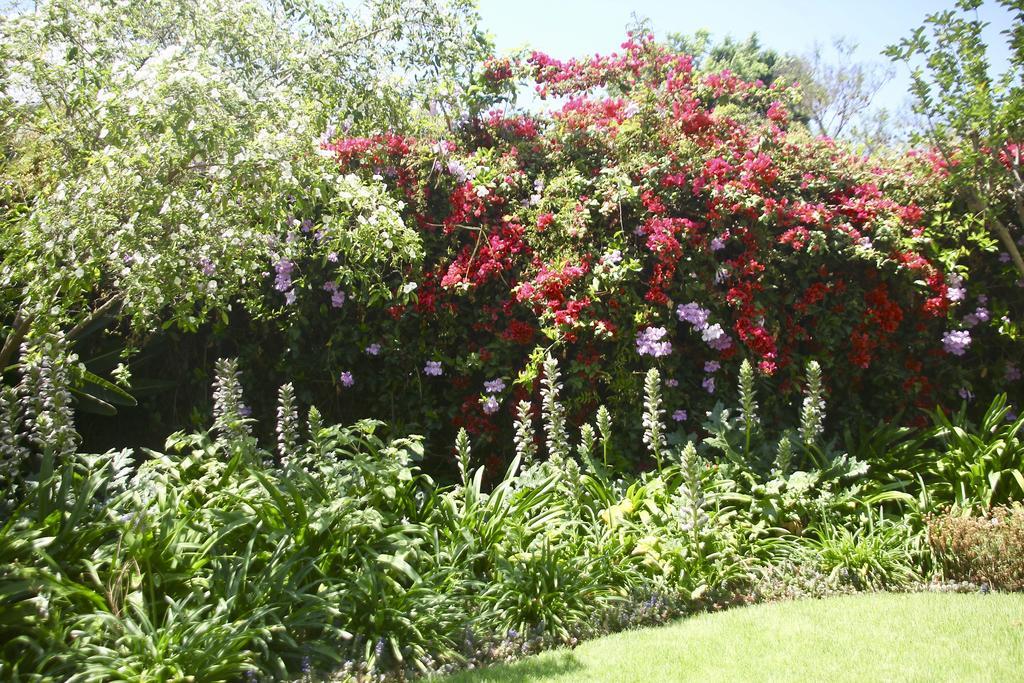 جوهانسبورغ Melville Manor Guest House المظهر الخارجي الصورة