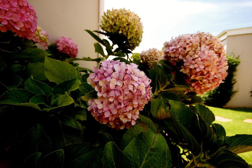 جوهانسبورغ Melville Manor Guest House المظهر الخارجي الصورة