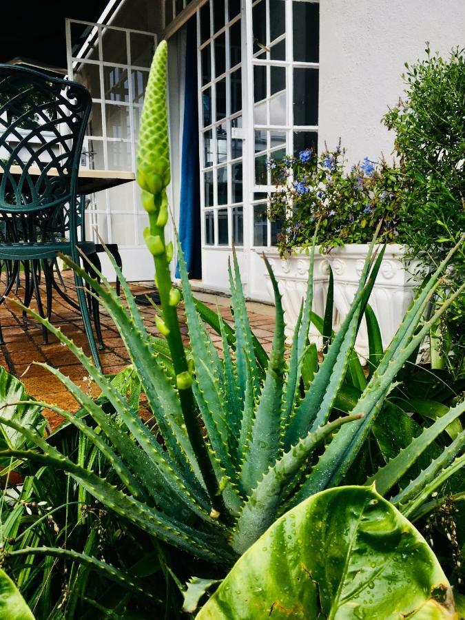 جوهانسبورغ Melville Manor Guest House المظهر الخارجي الصورة