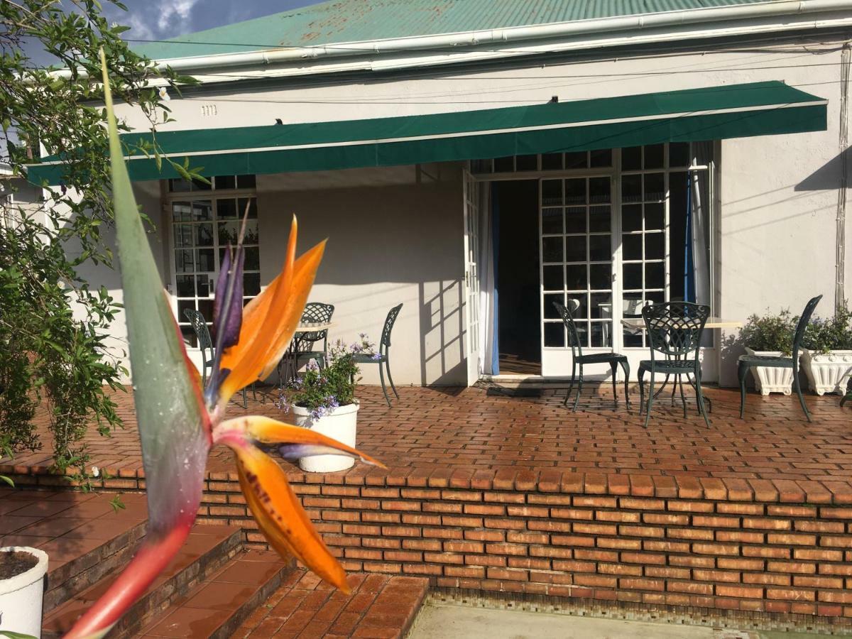 جوهانسبورغ Melville Manor Guest House المظهر الخارجي الصورة